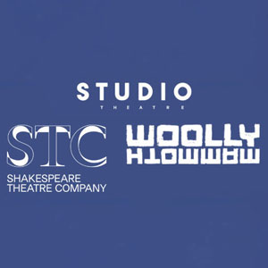 DC International Theatre Festival