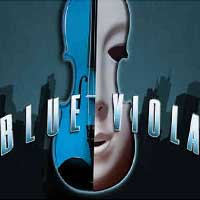 Blue Viola