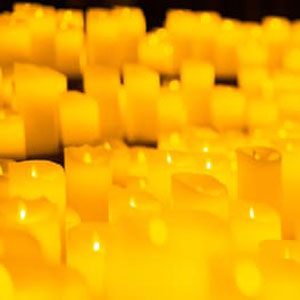 Candlelight: A Very Laufey Day