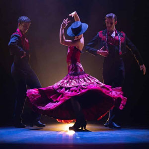 Fuego Flamenco Festival XXII