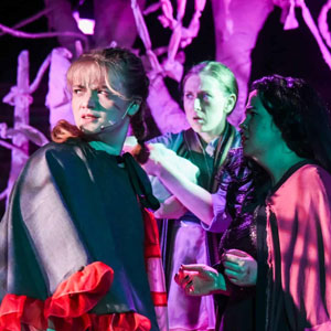 Into The Woods at Maryland Ensemble Theatre