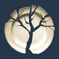 Sycamore Trees