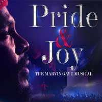 Pride and Joy: The Marvin Gaye Musical