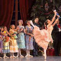 The Nutcracker