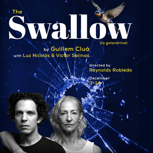 The Swallow